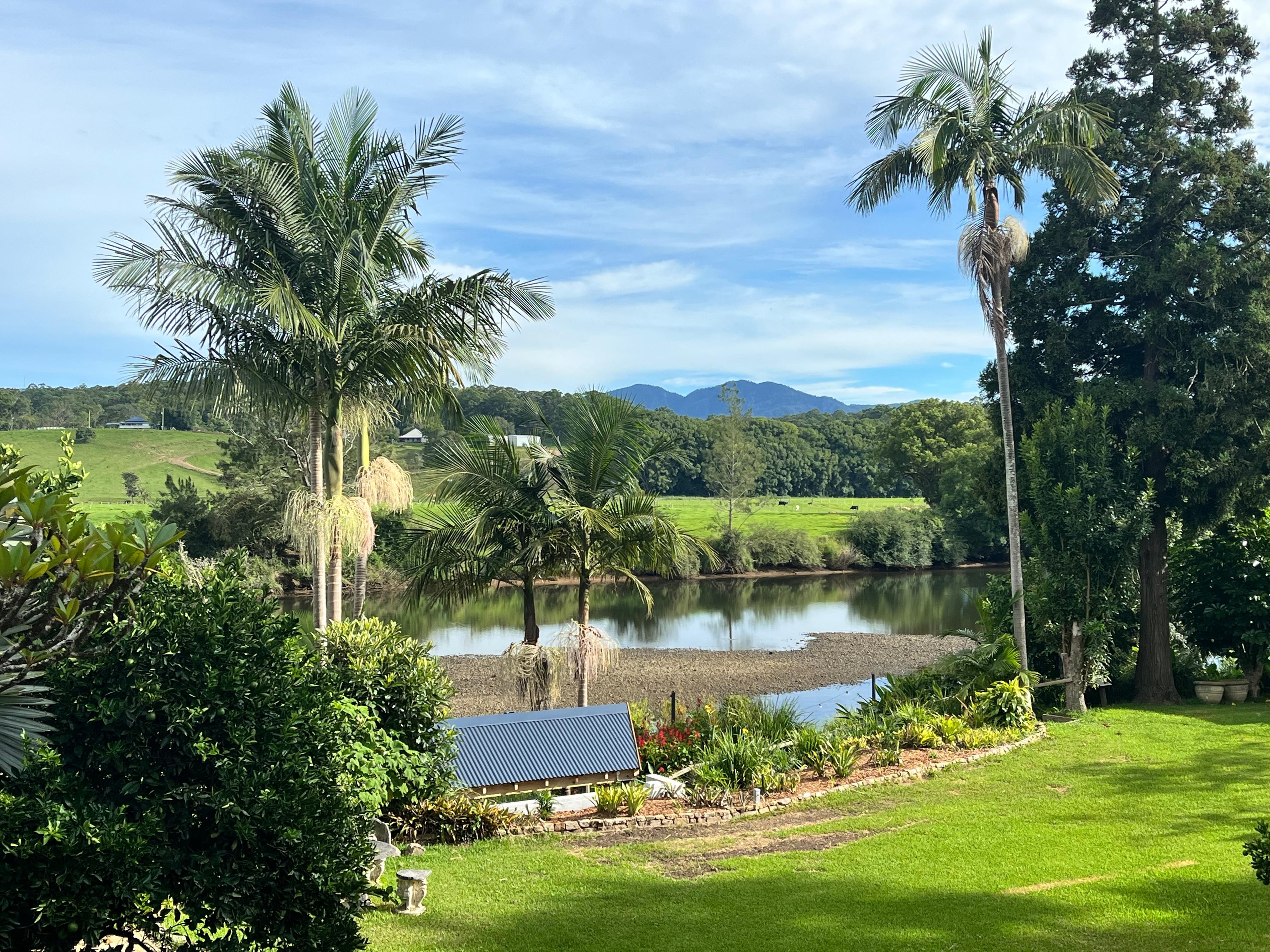 Views from the deck across the Bellinger River