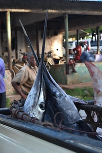 Marché aux poissons à 300m de l’hôtel