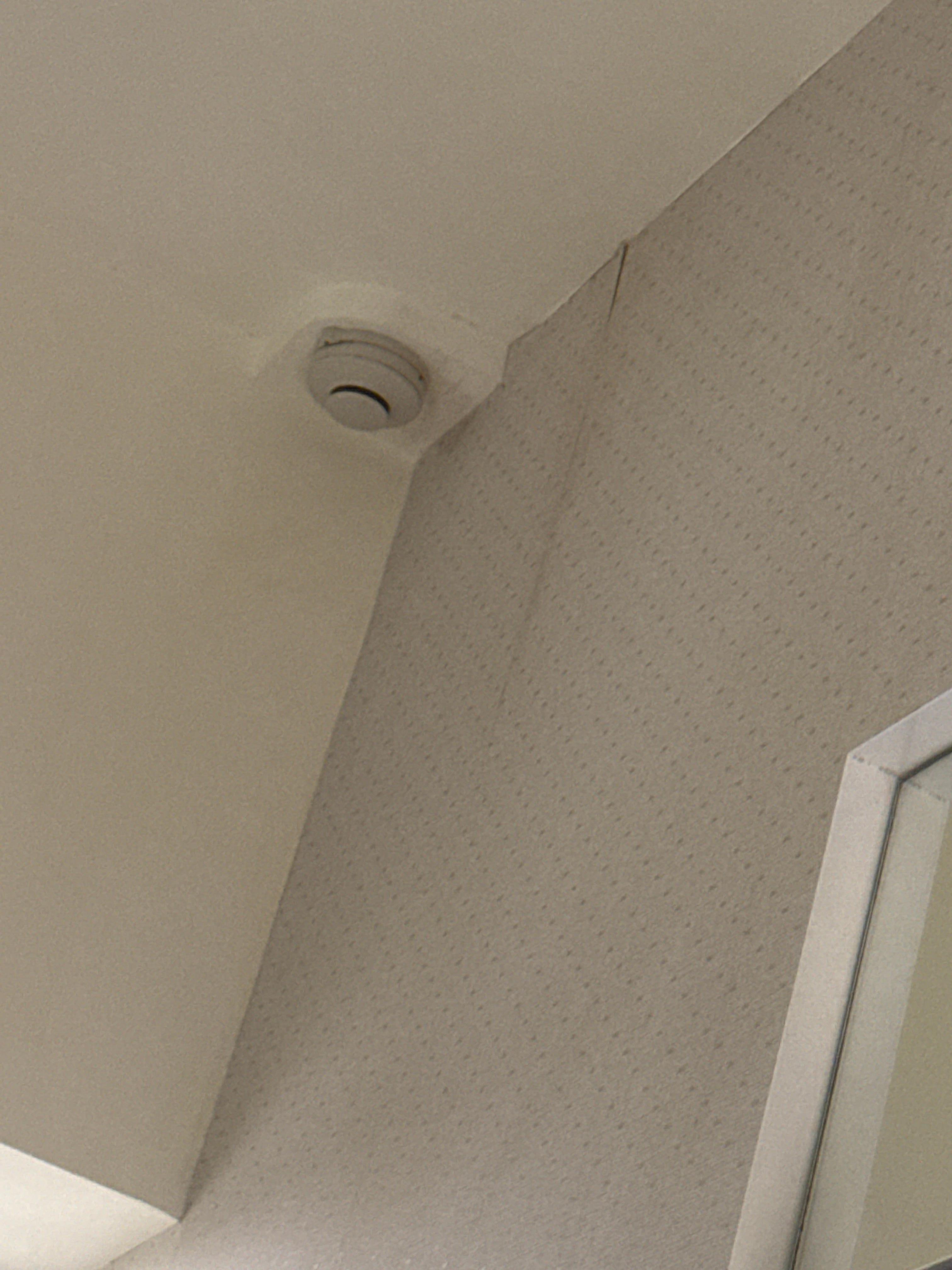 Infiltração no teto e papel de parede descolando 