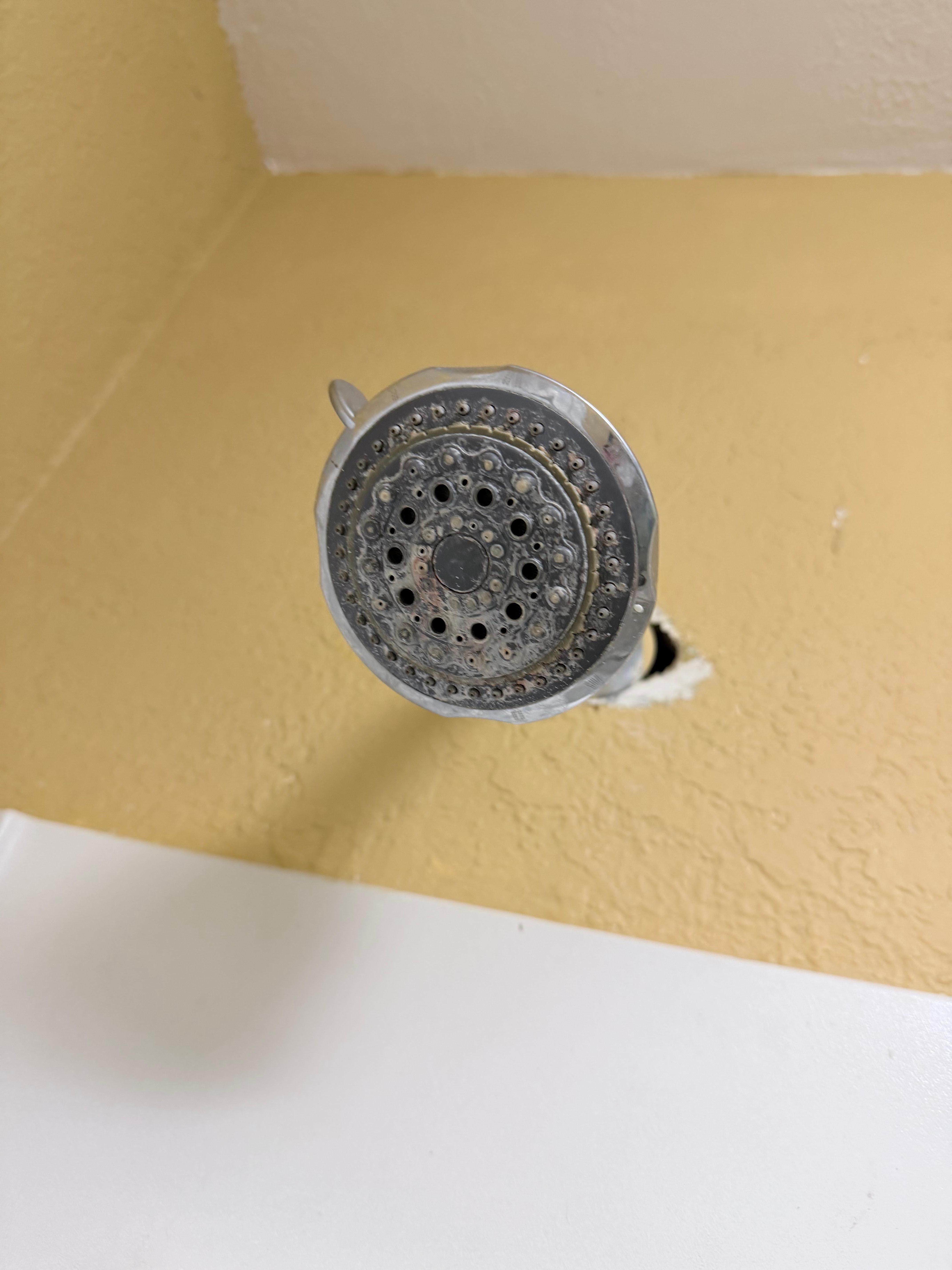 Shower head and hole in wall filthy