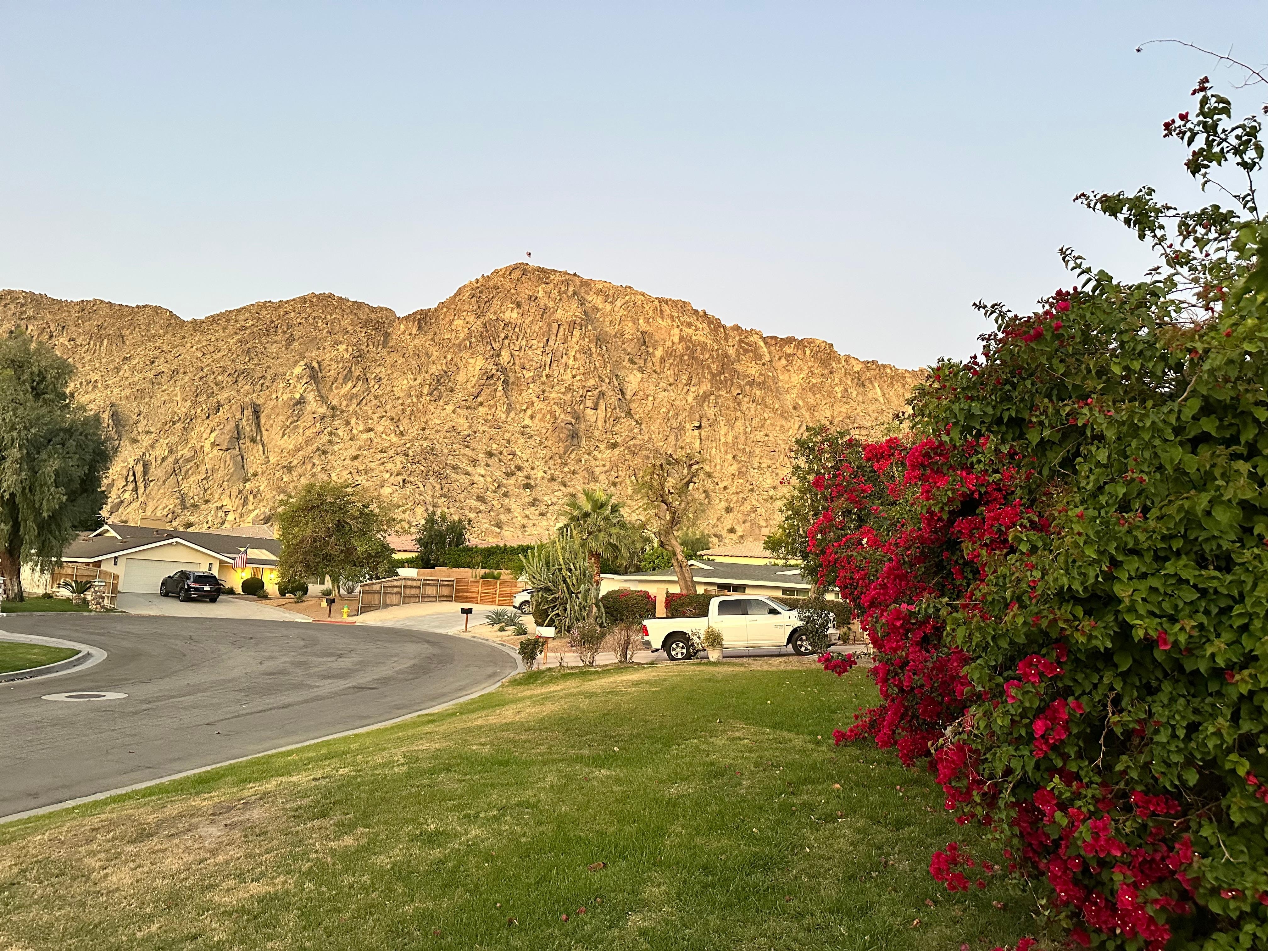 Front yard with beautiful bougainvellia on a cul de sac.