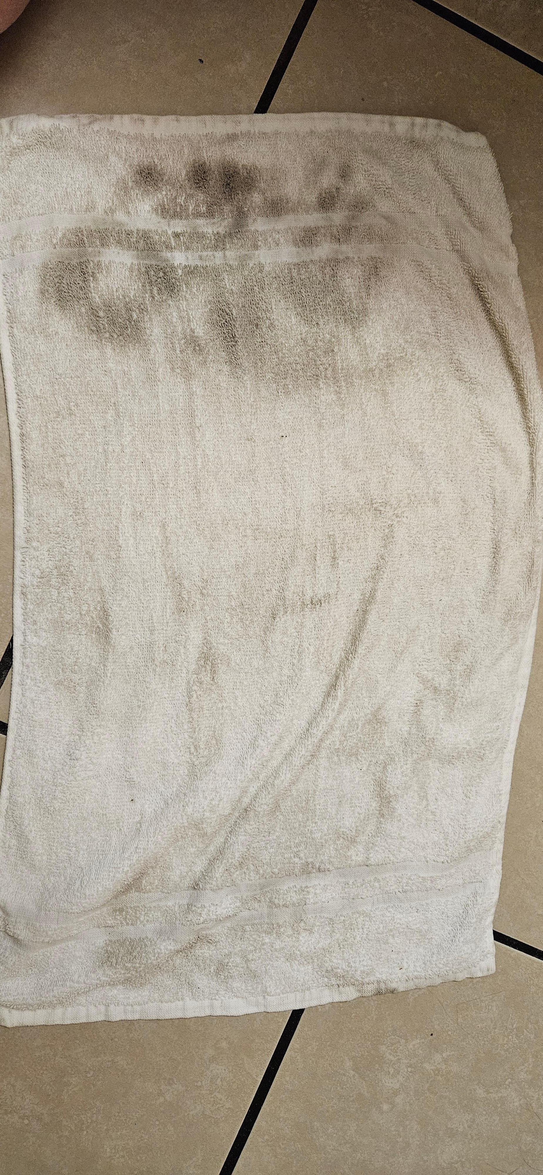 This is the towel I used to clean the floor. Photo taken day of checkout as it was night when cleaned. Adding this note bcuz the employee looked at the photo time stamp when I showed him. Didn't ask for any compensation, etc, just FYI to them