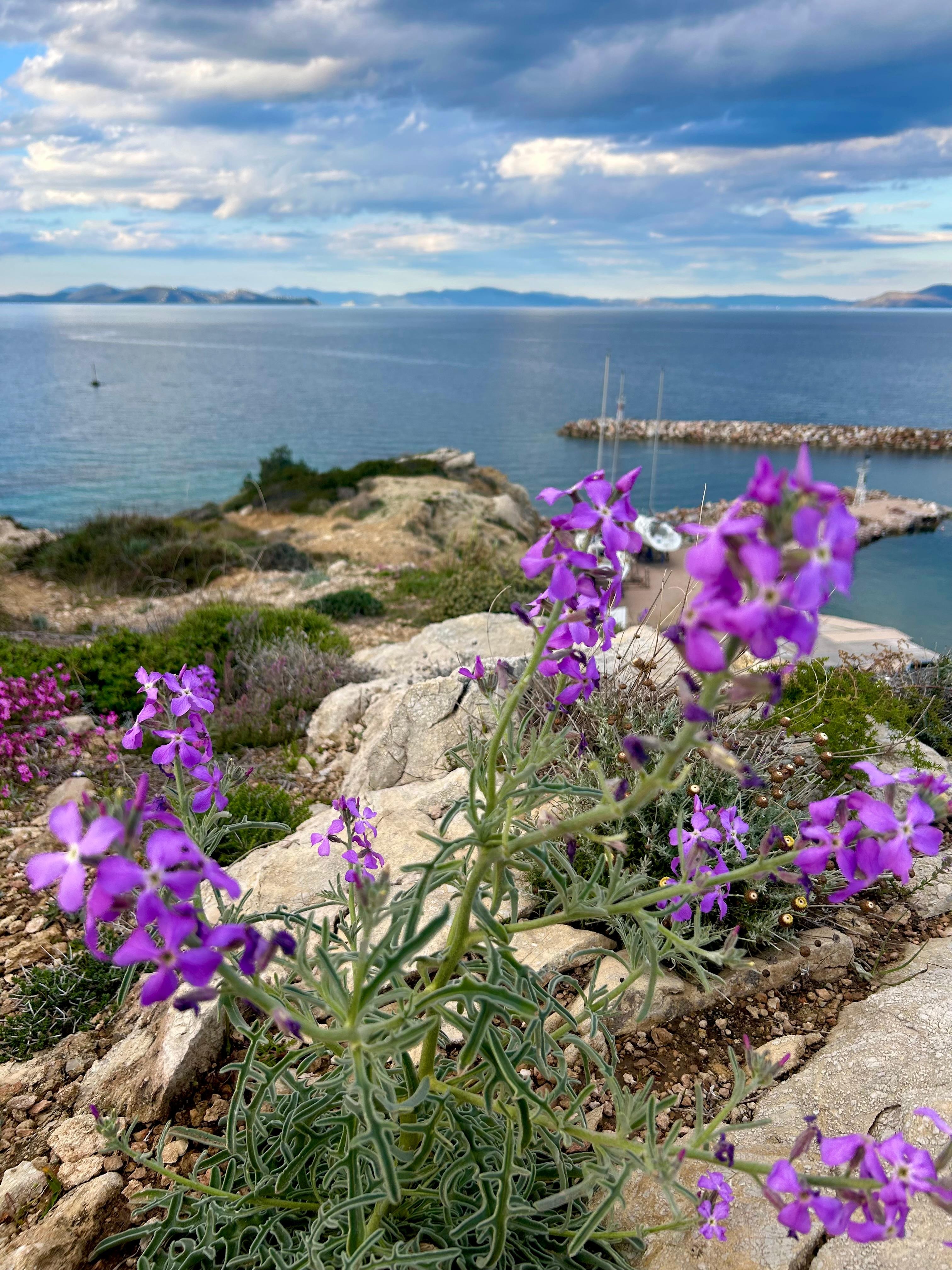 10 minute walk from hotel 