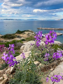 10 minute walk from hotel