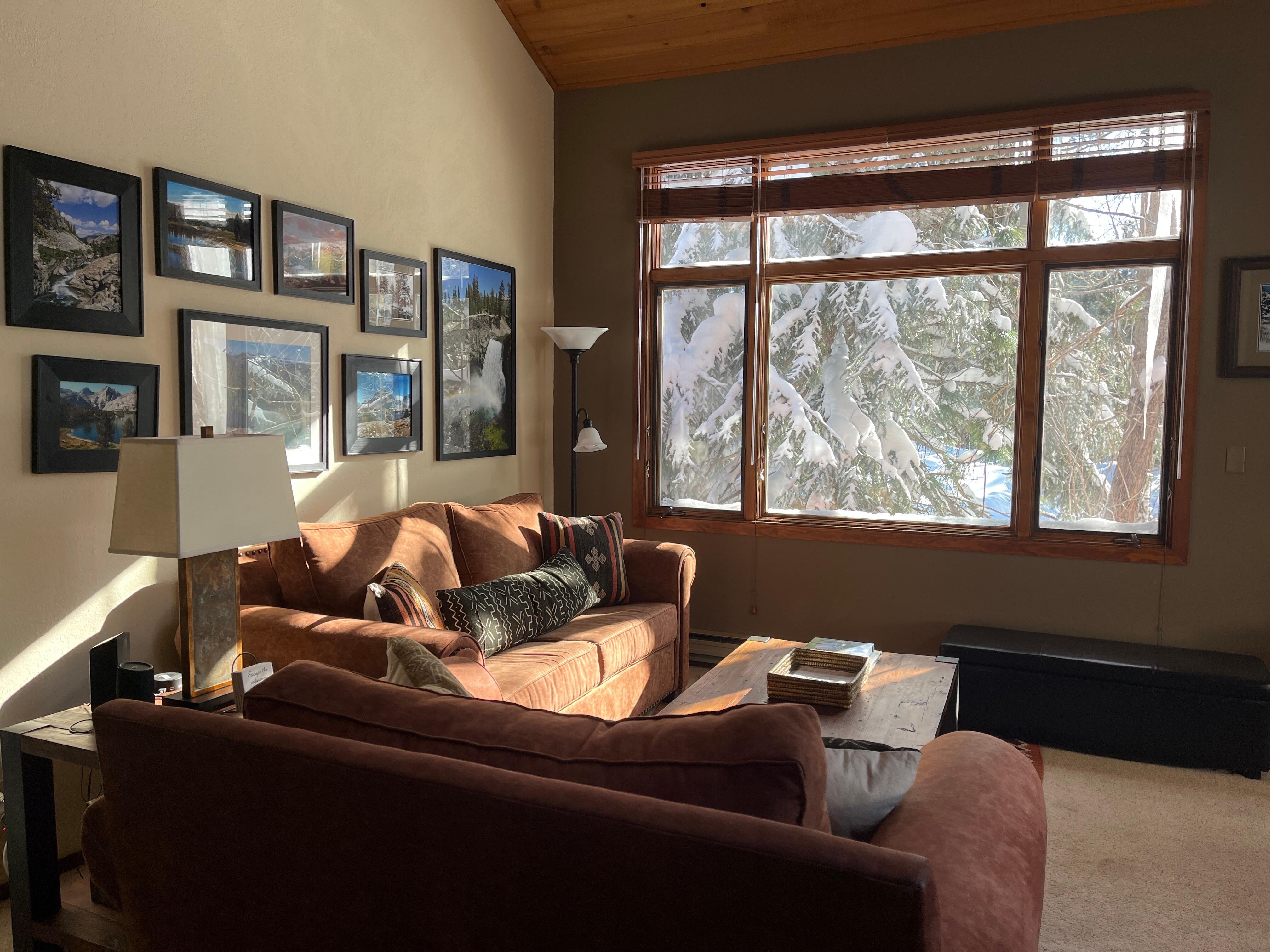 Right across the street from free shittle