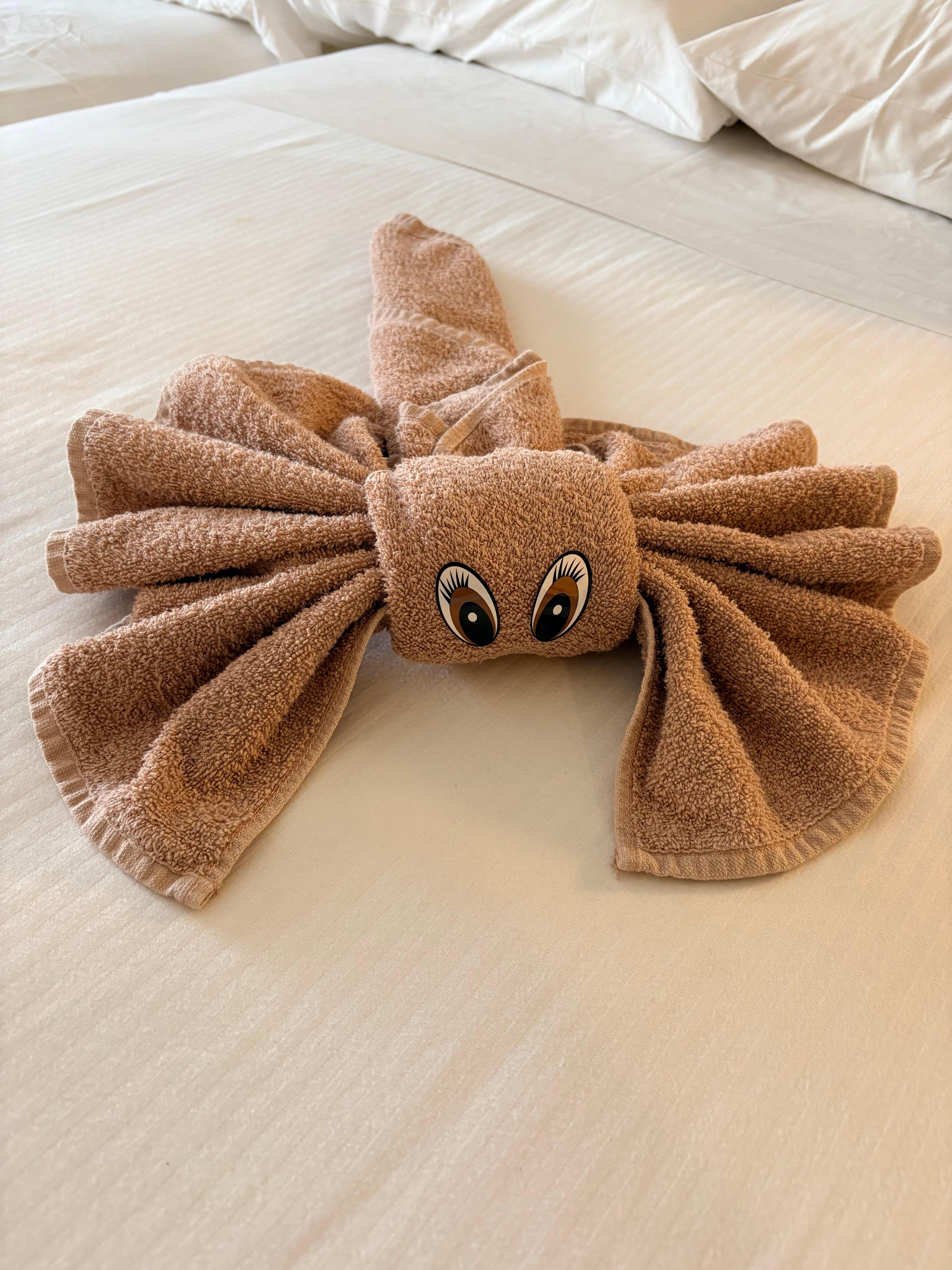 One of the cute towel creatures made by our house keeper, who was super warming as well as very thorough in cleaning.