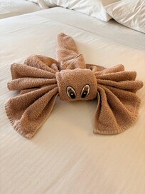 One of the cute towel creatures made by our house keeper, who was super warming as well as very thorough in cleaning.