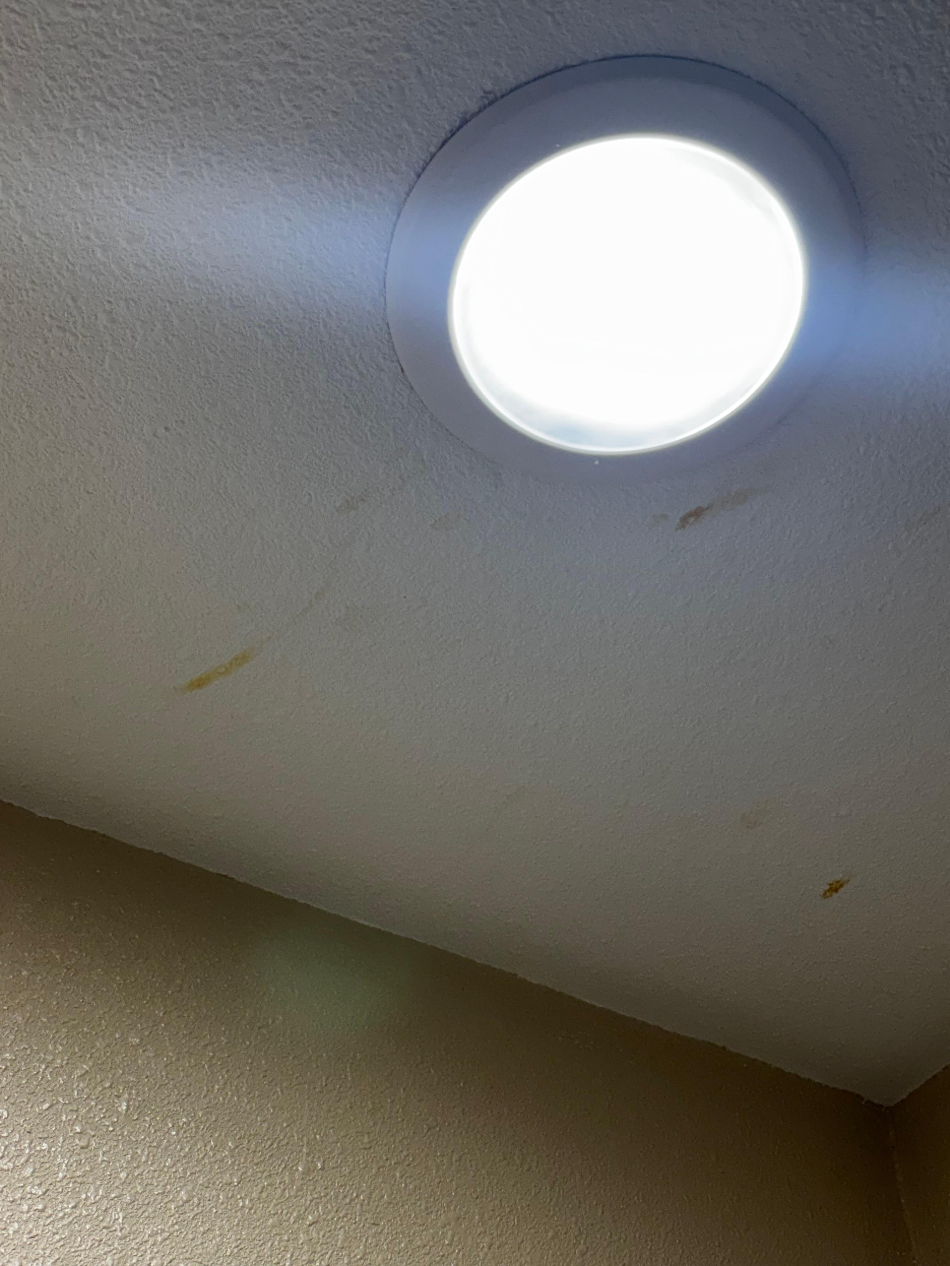 Nasty stains all over the bathroom ceiling 