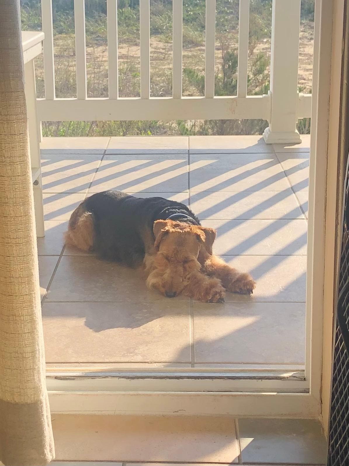 Nap time