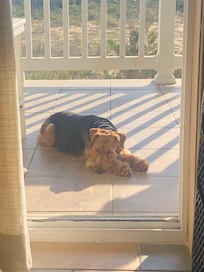 Nap time