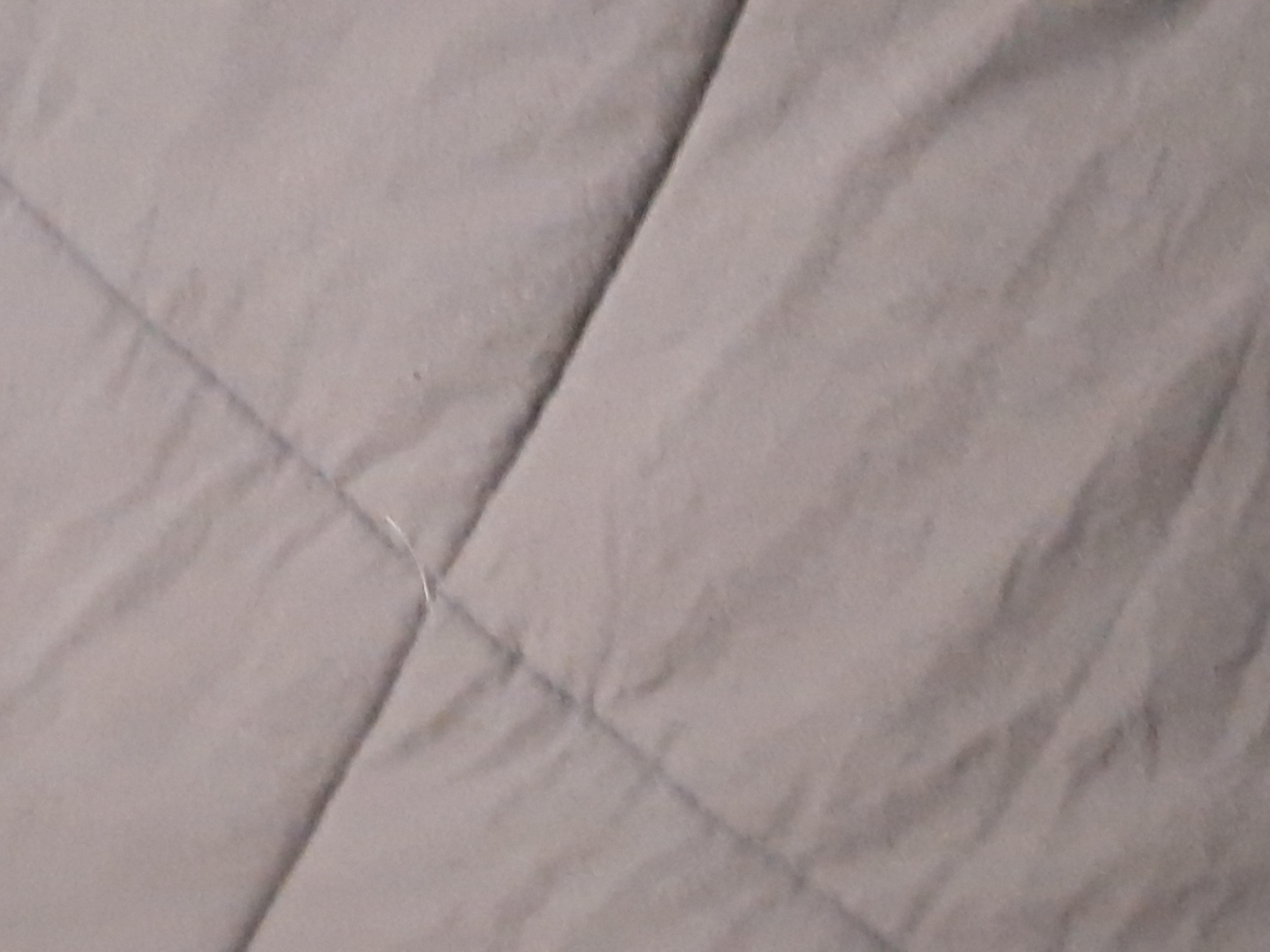 Dog hair in bed and see stains on covers