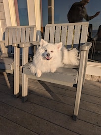 Luca appreciating the views