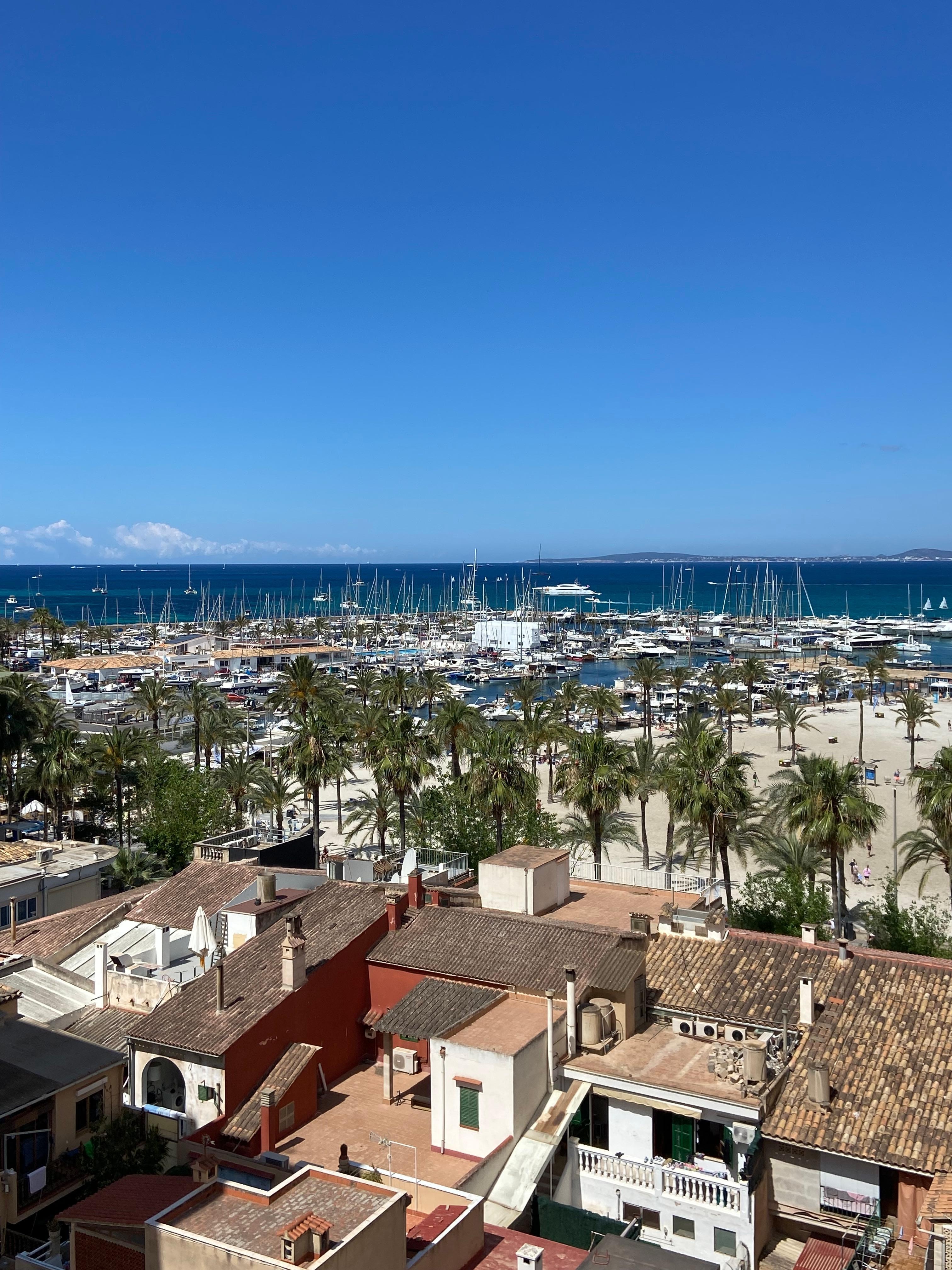 Vista desde la habitación