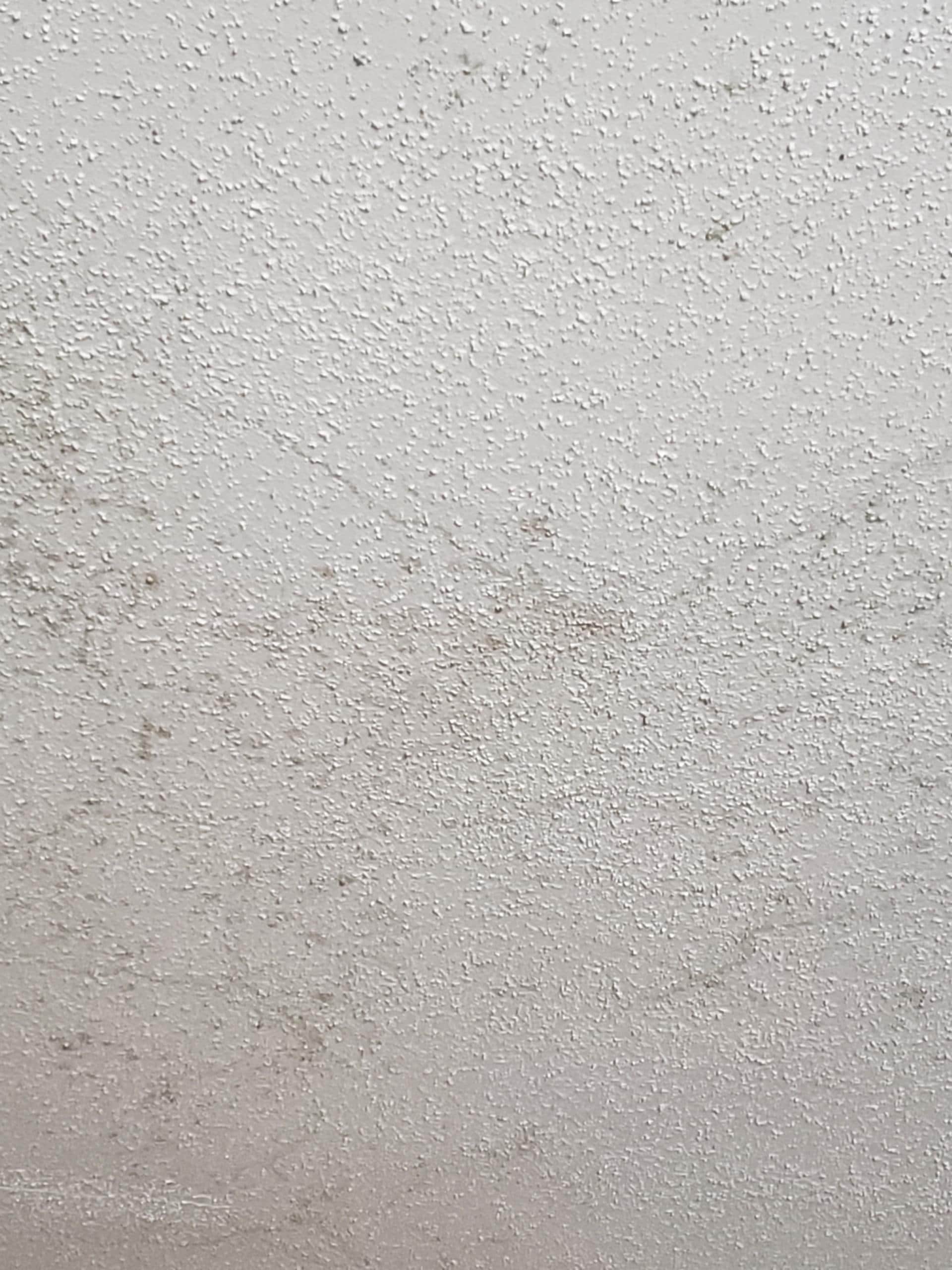 Mold over the bed