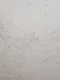 Mold over the bed