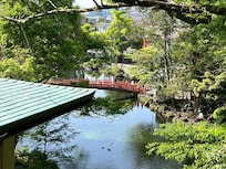窓からの景色