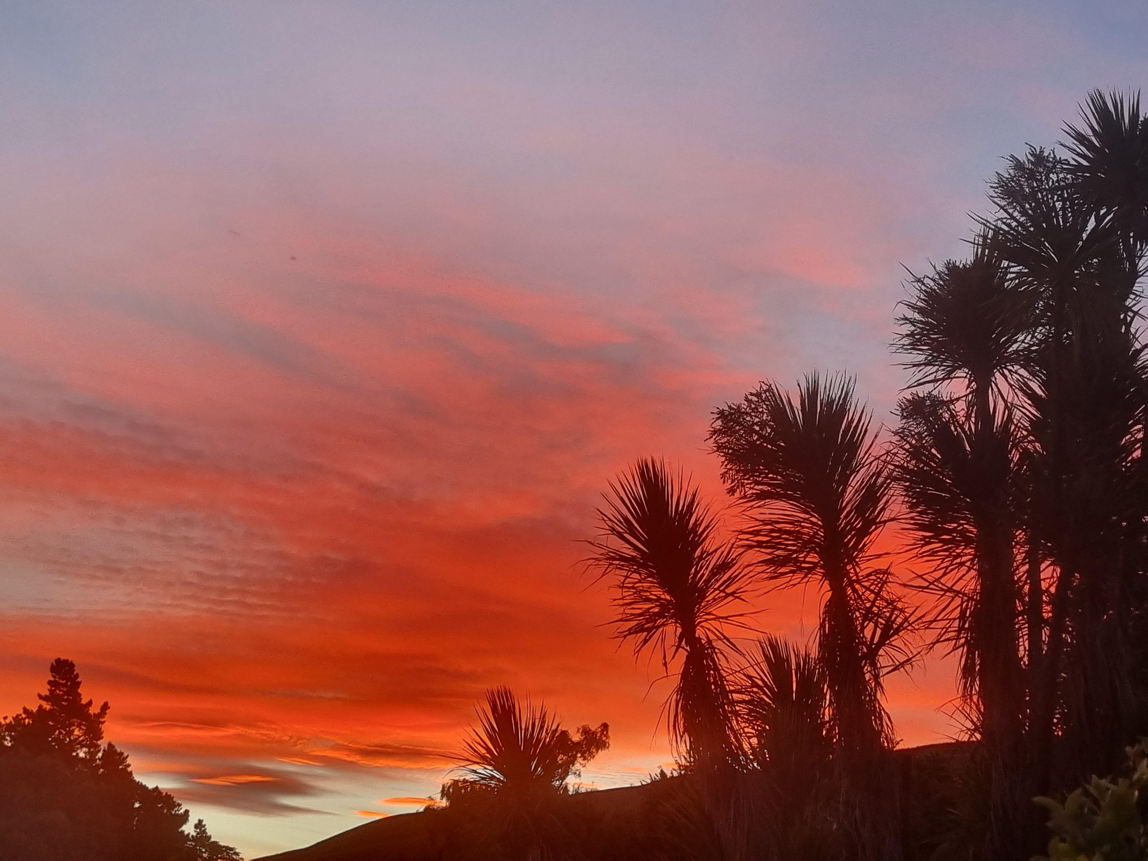 View from back of section at sunset.