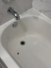 Cockroach in tub