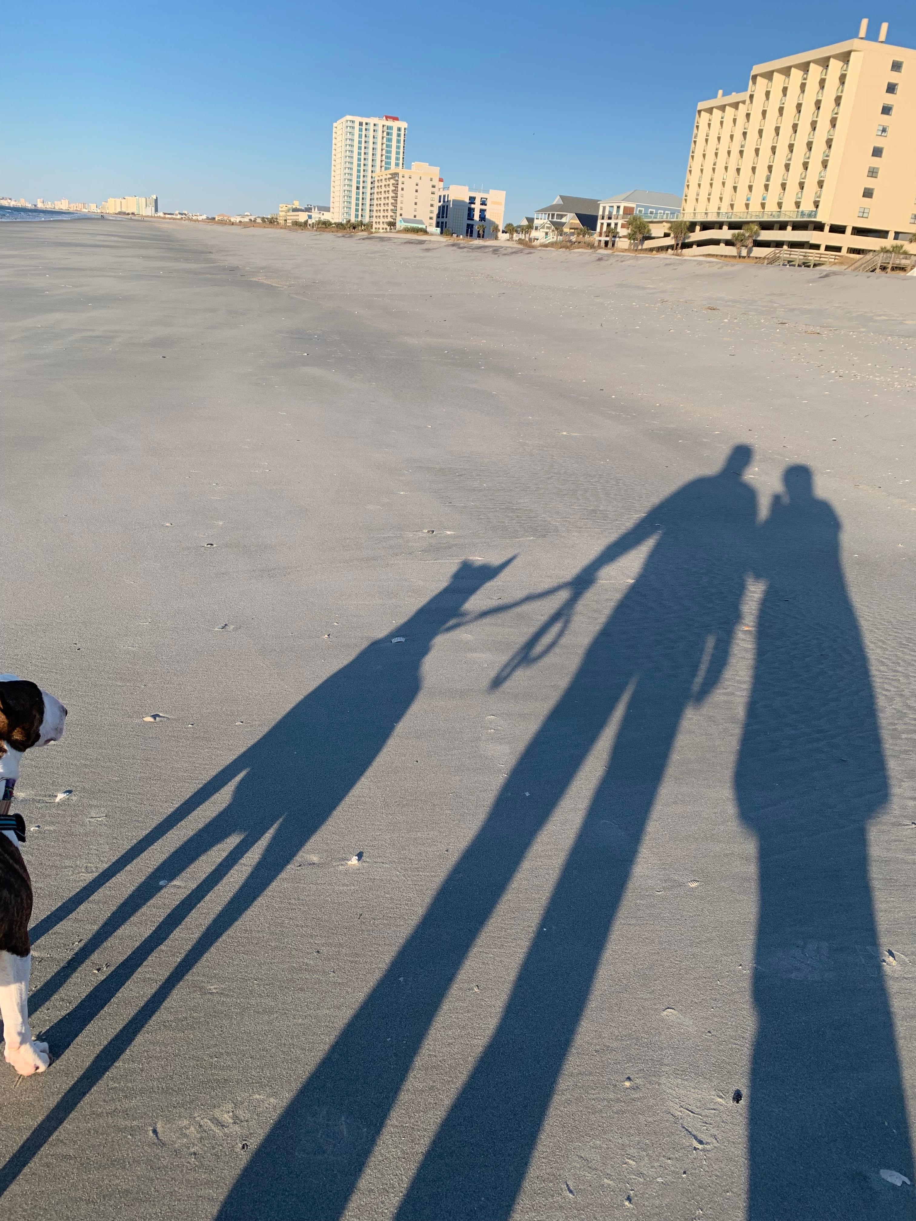 Beautiful beach just a short walk from the house