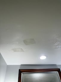 Ceiling gross