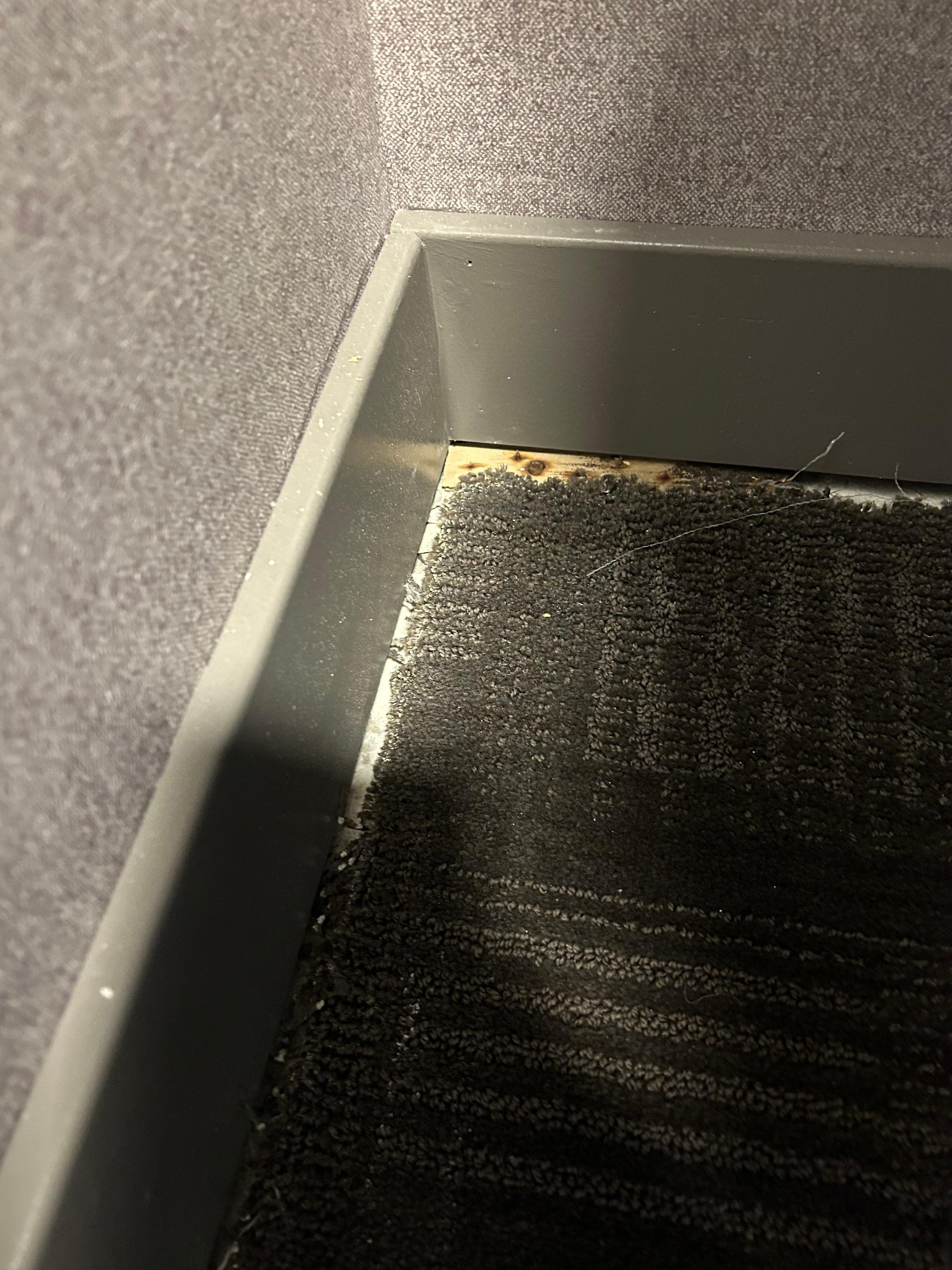 Gross mess between carpet and wall