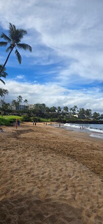Wailea beach