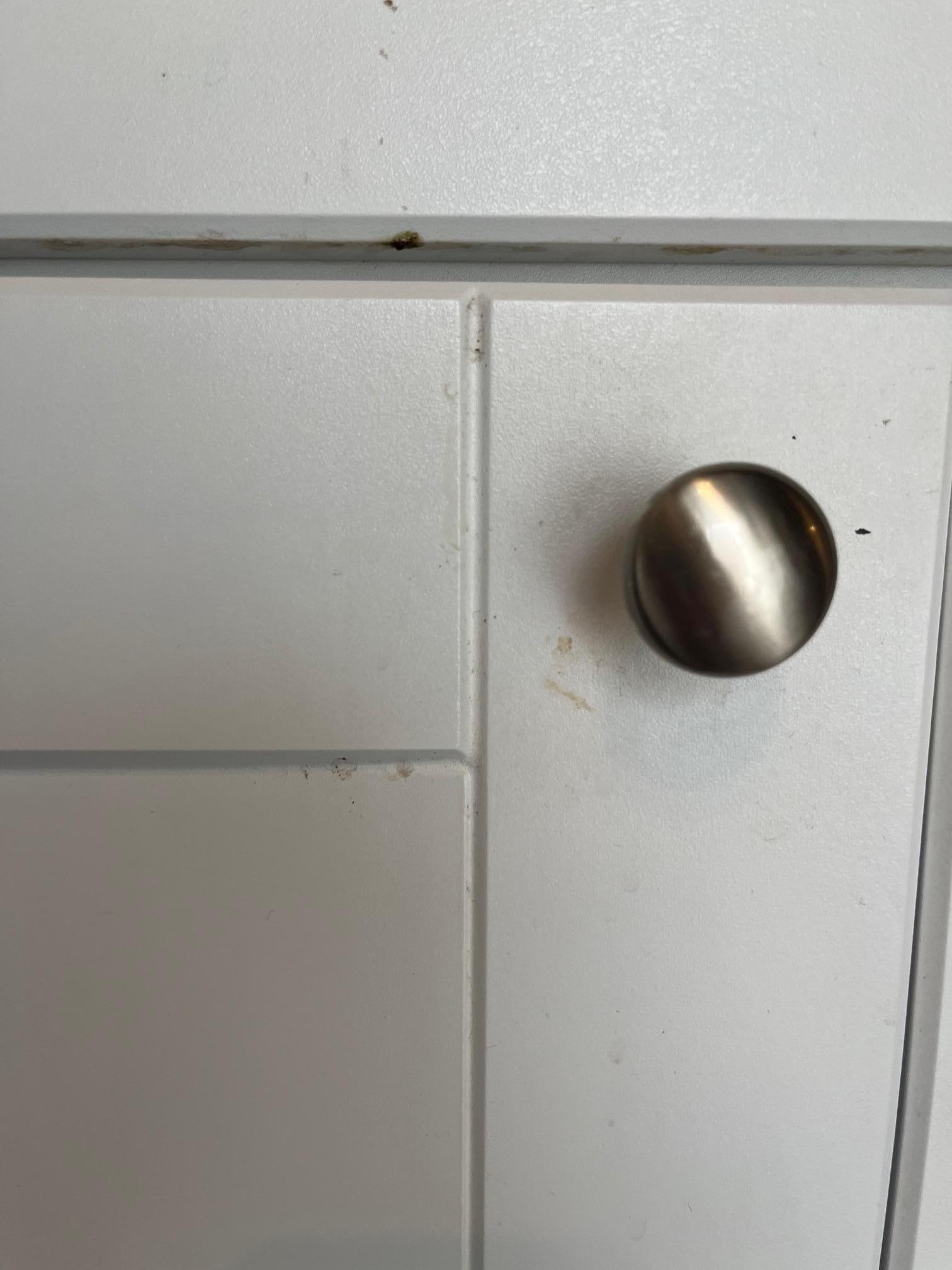 Example of the kitchen cabinets