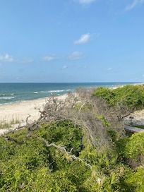 View from the deck