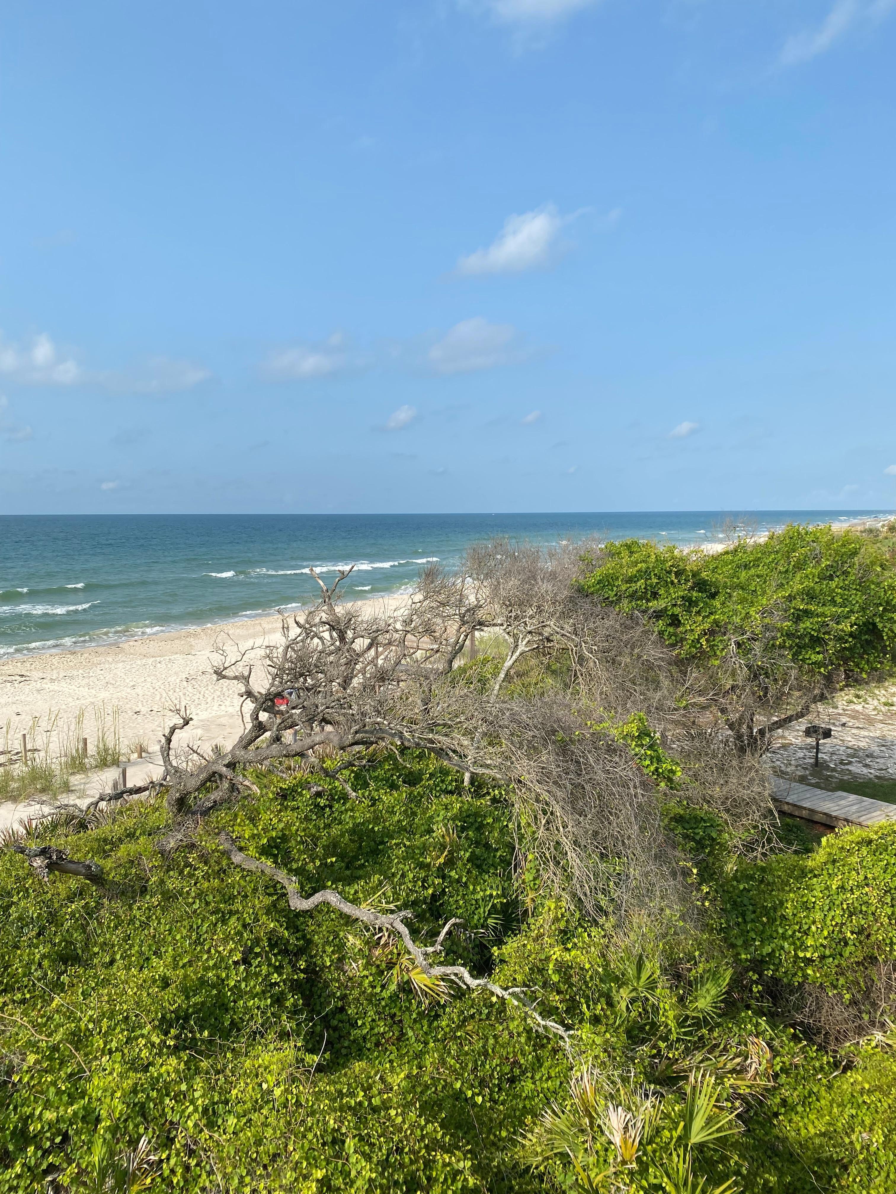 View from the deck