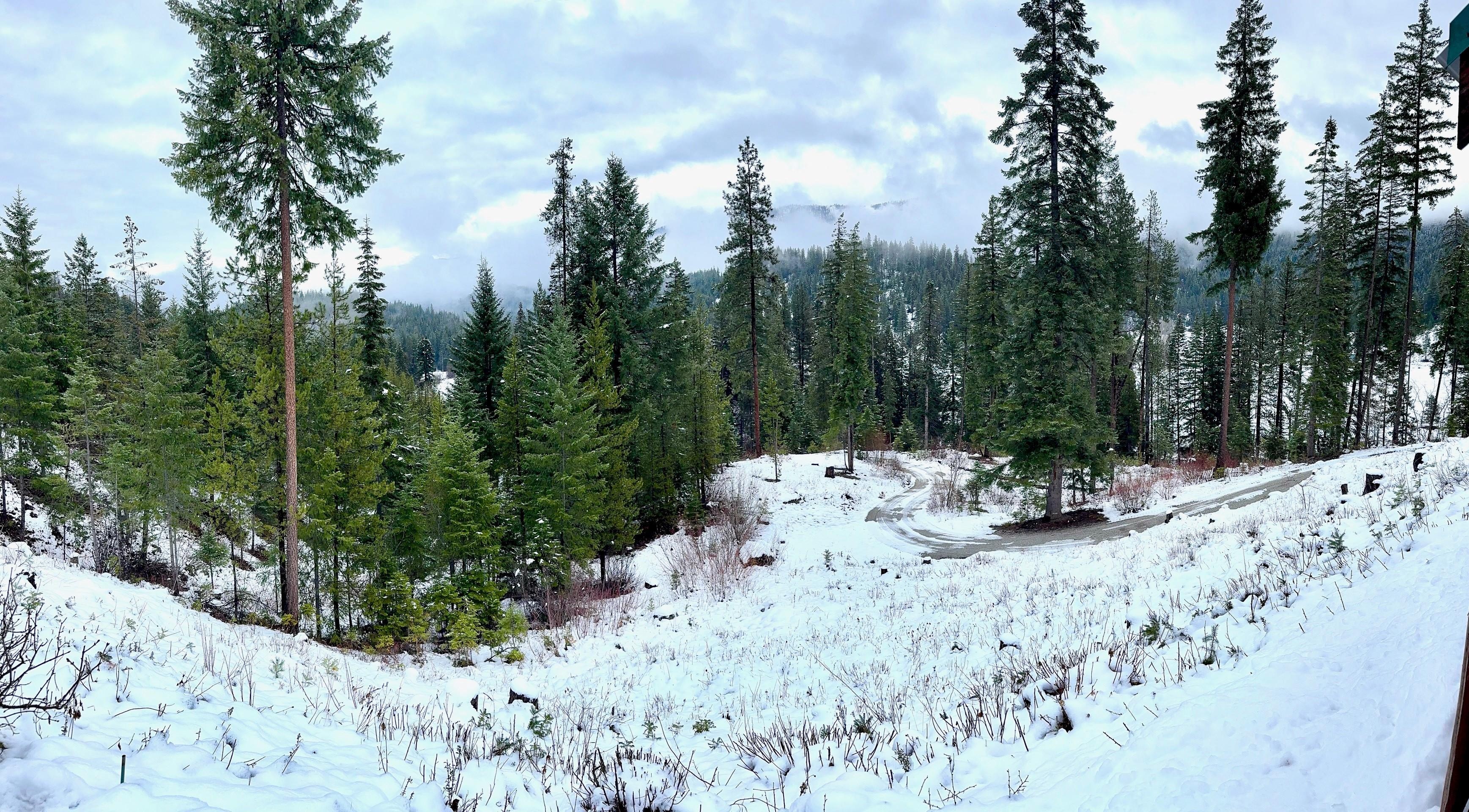 Beautiful view from the back porch