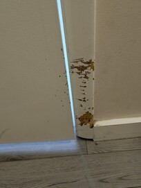 Someone must have left a dog shut in bathroom.