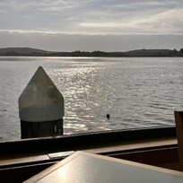 Seal outside our breakfast window