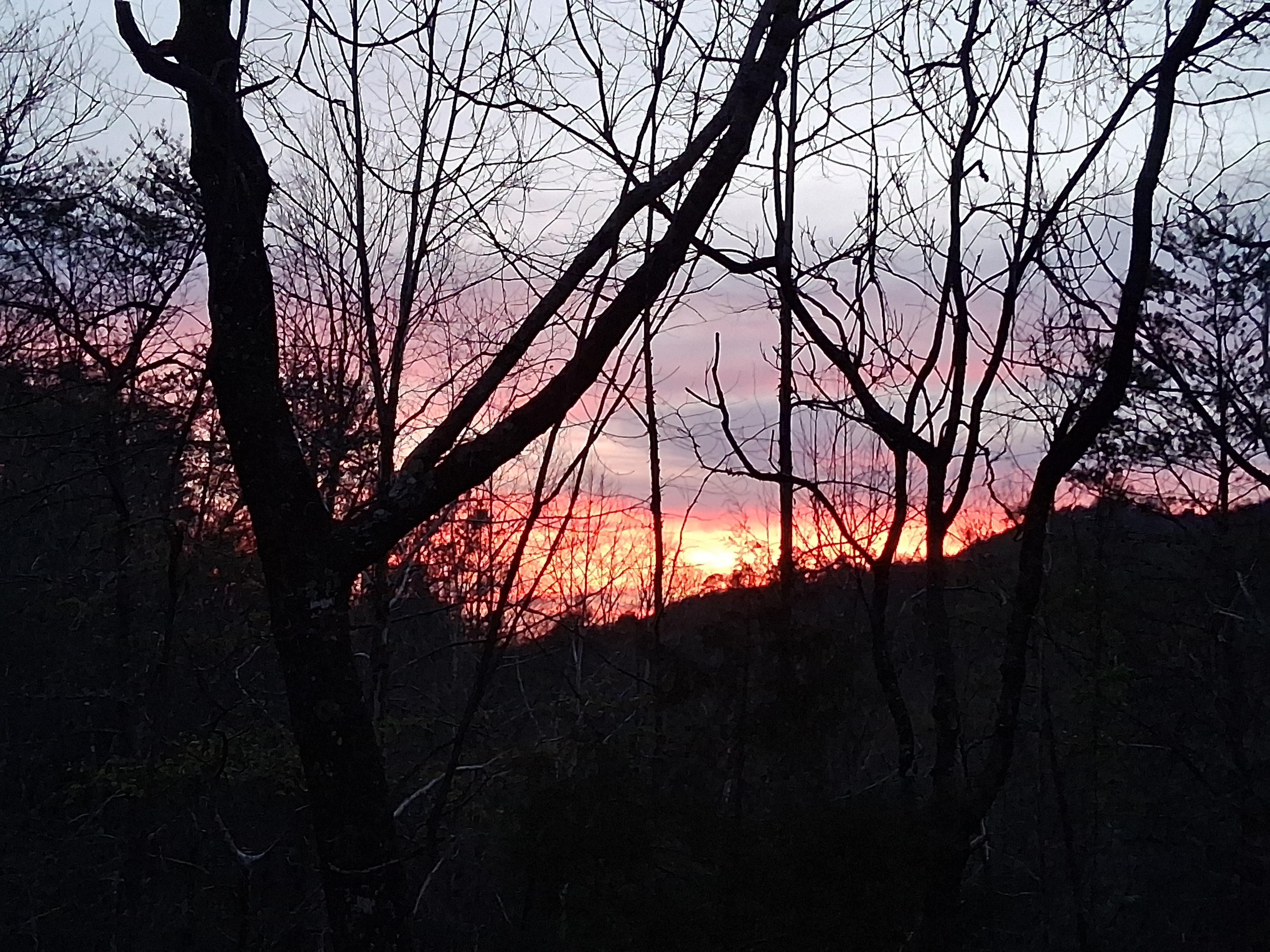 Beautiful sunset from our driveway. 