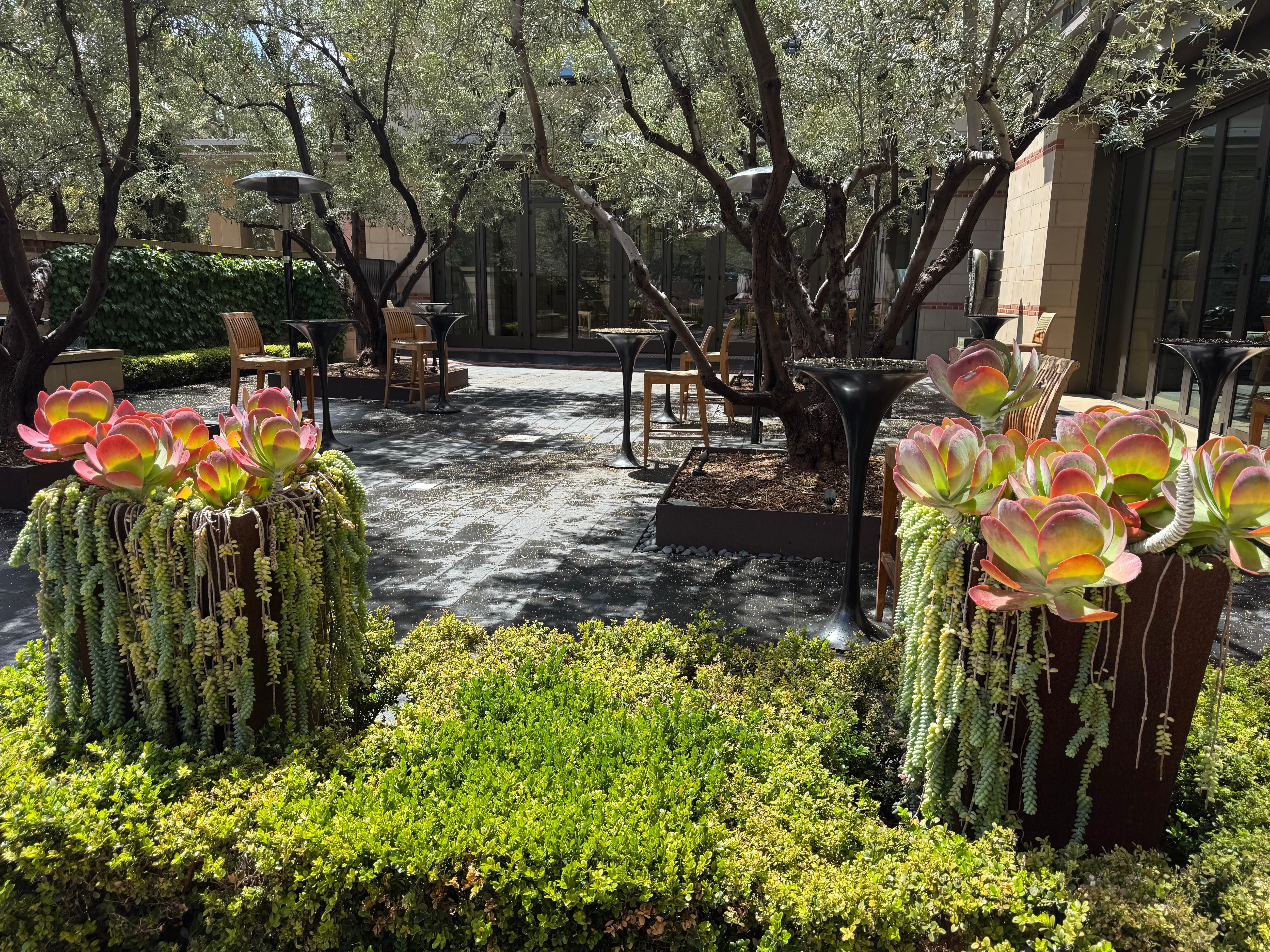 Frontyard
