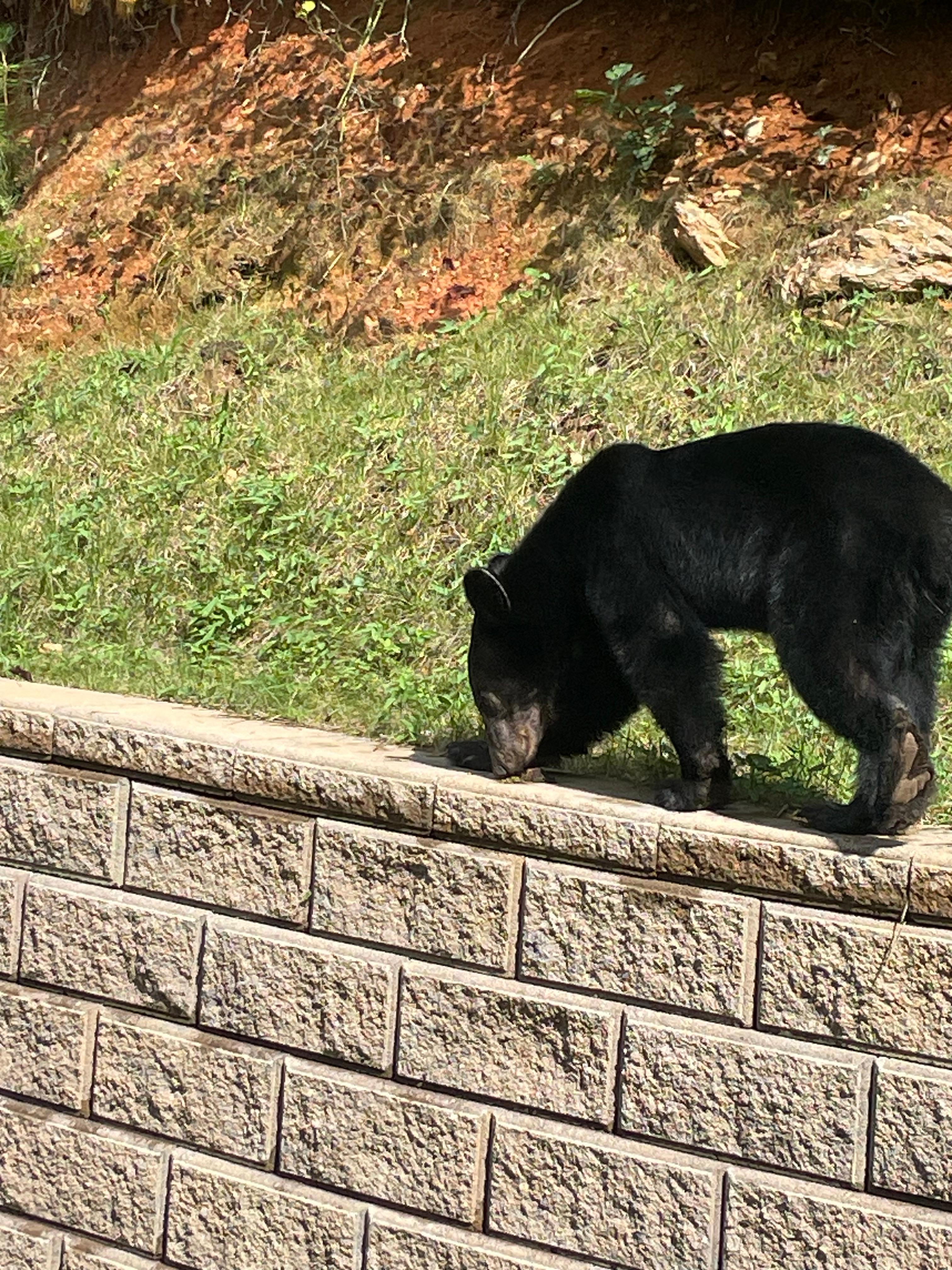 Our friend came almost every day we were there.