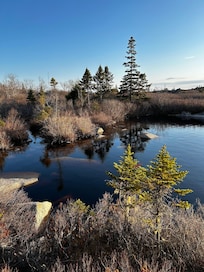 Trail virw