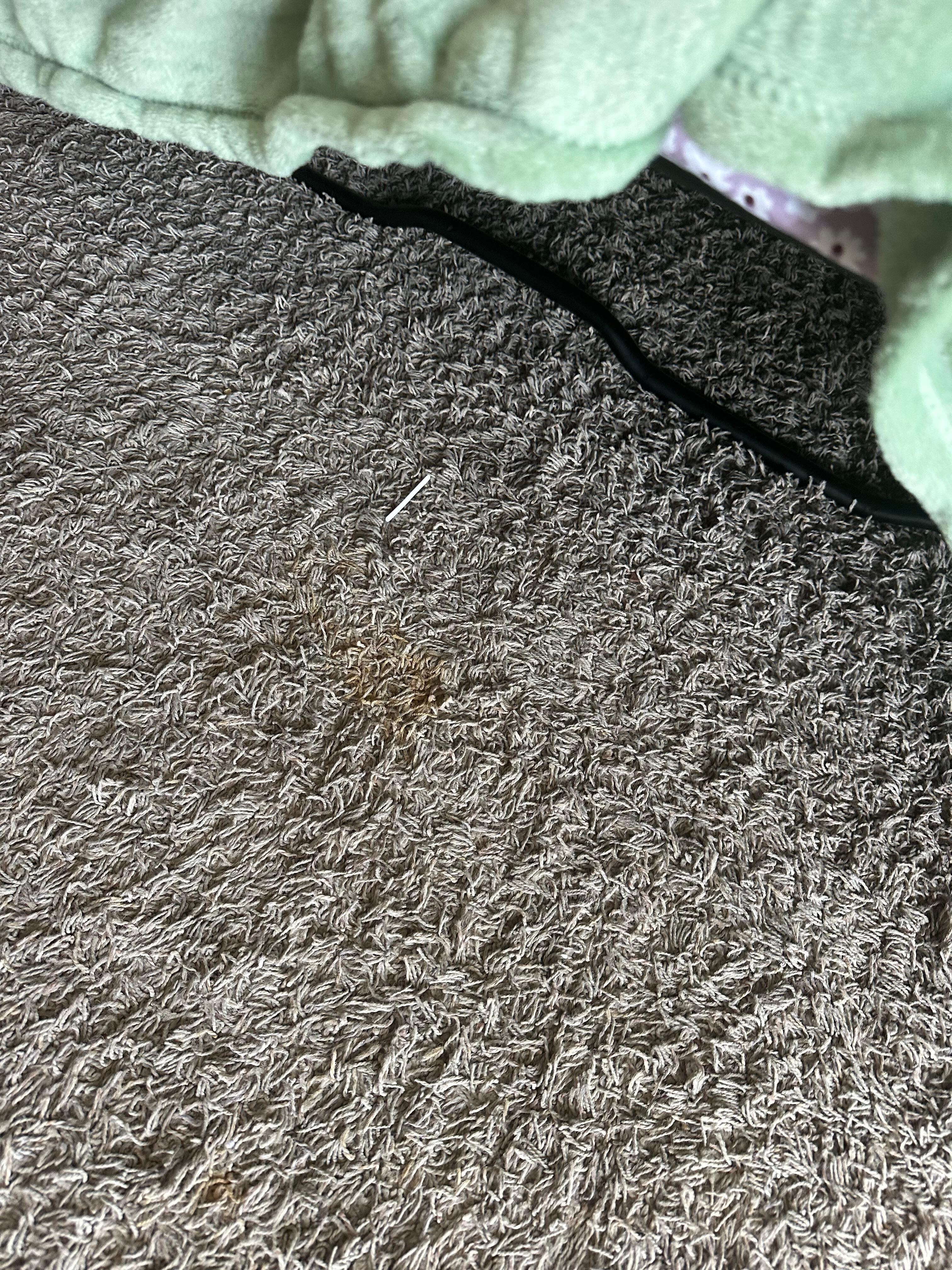 Stained carpet throughout the entire unit.  