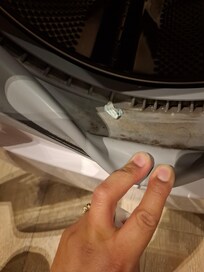 Mold in washing machine