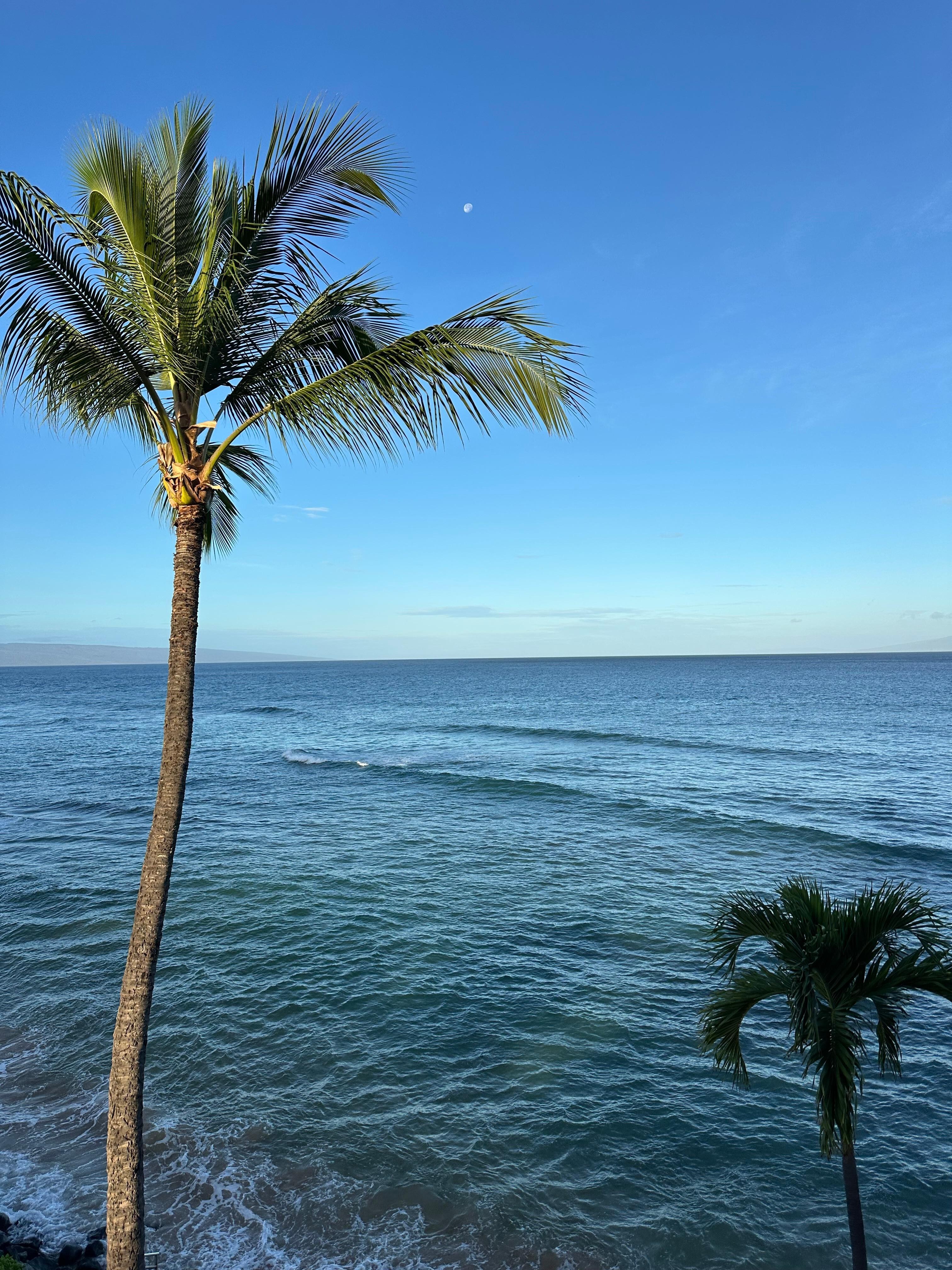 View off the balcony 