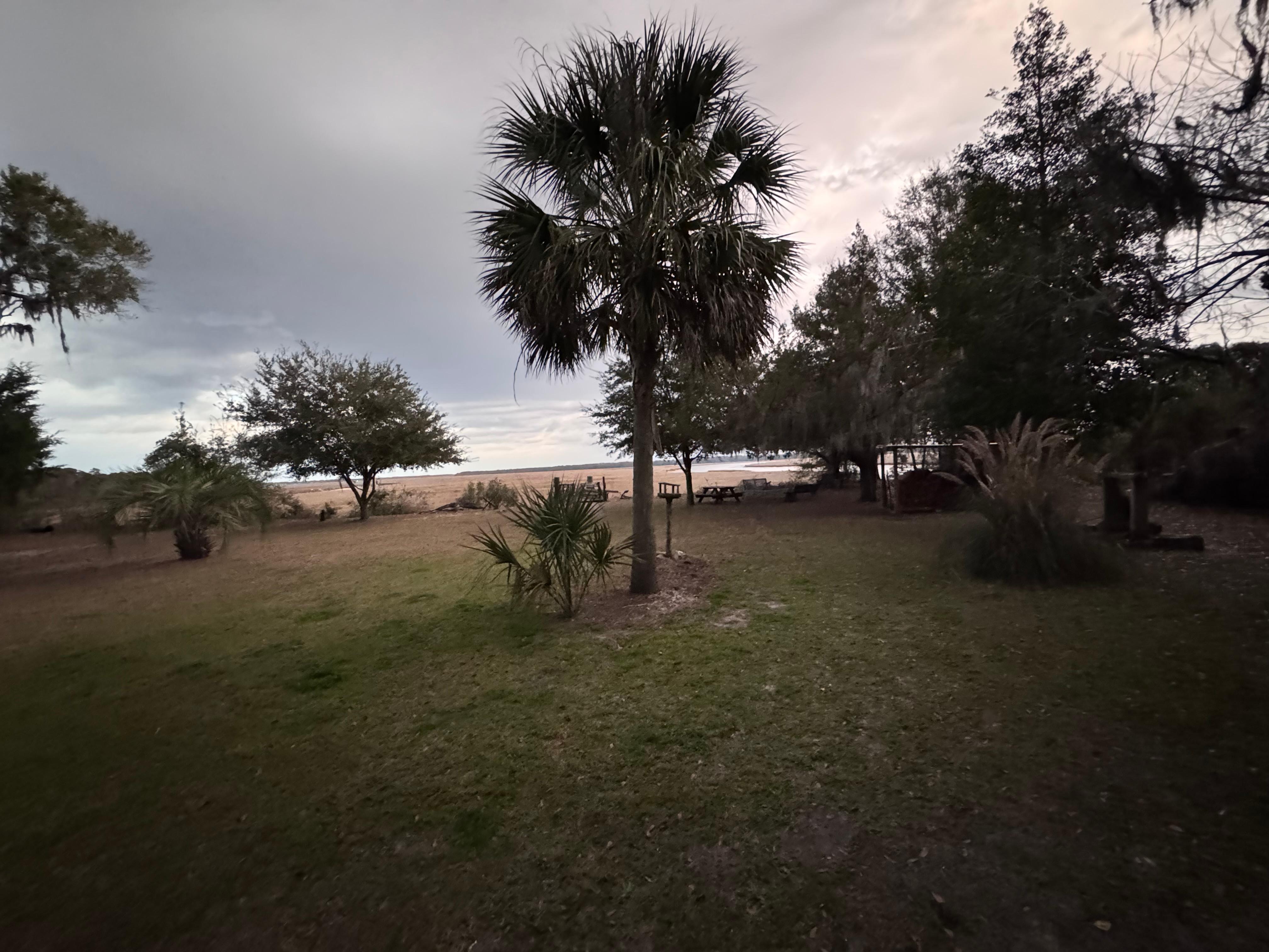 View toward the marshes and dock area 