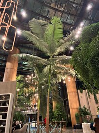 Çevreye duyarlı ve içinde doğayı yaşatan bir otel