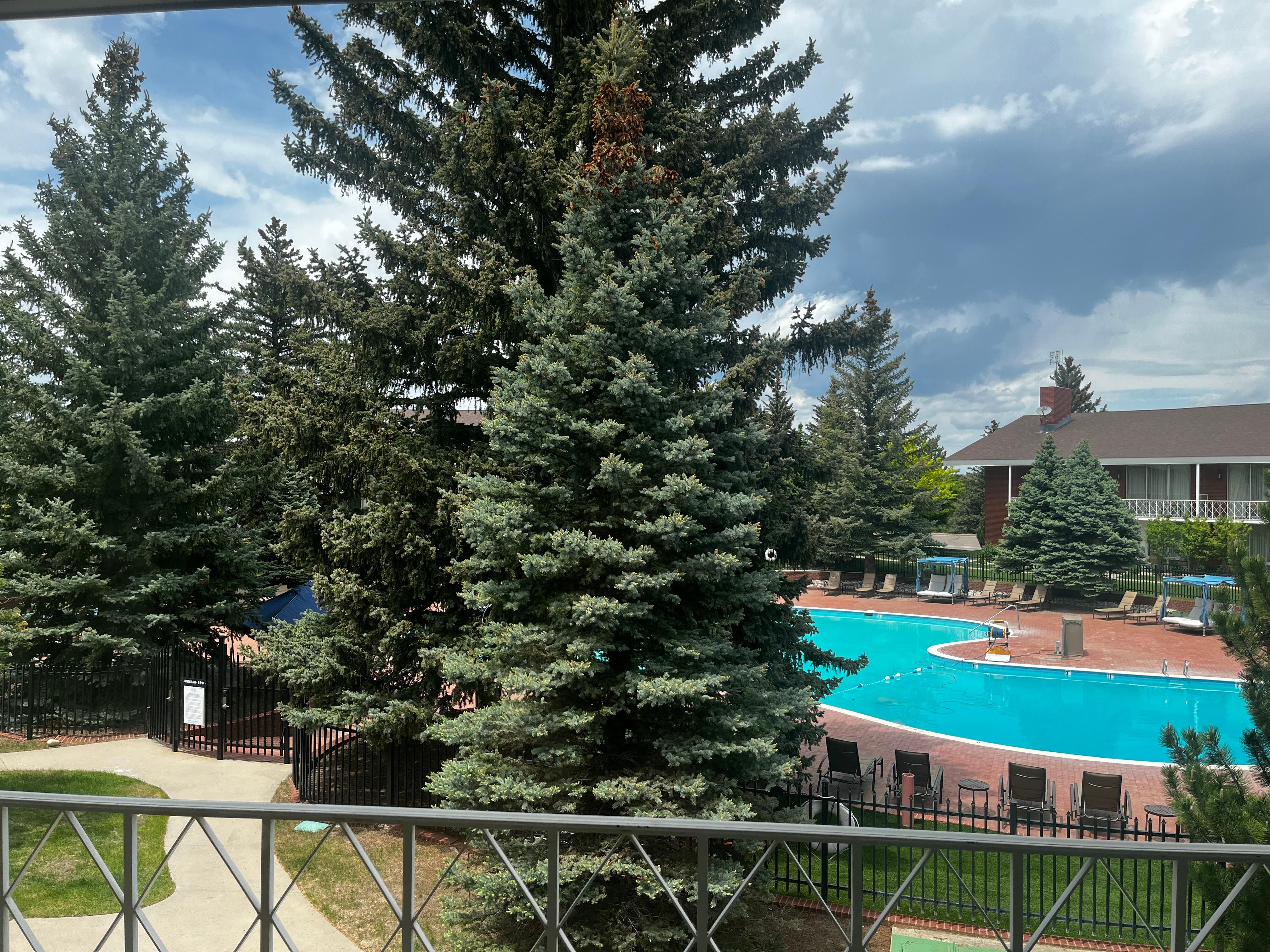 Room with a view!