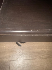 Someone else’s eye lashes