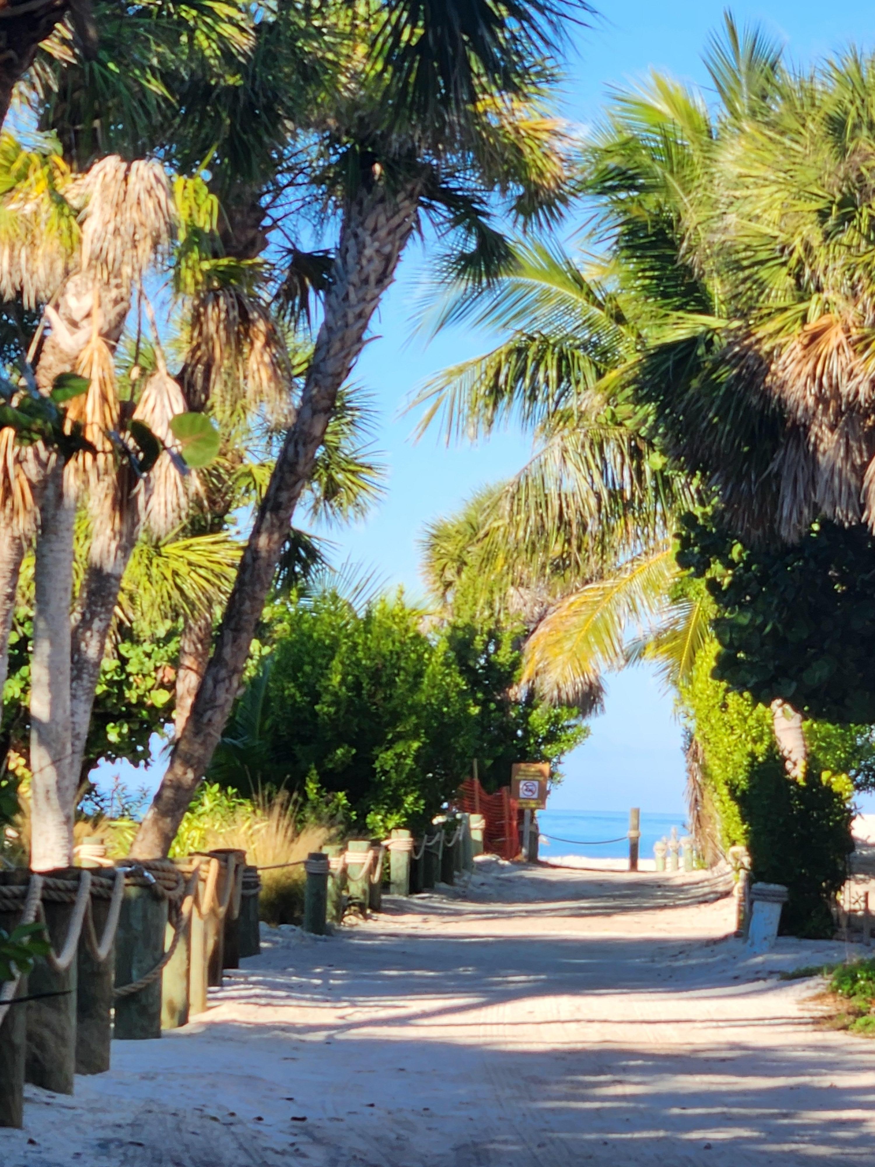 Breathtaking view on the walk to the beach...this is just a few steps from the house.