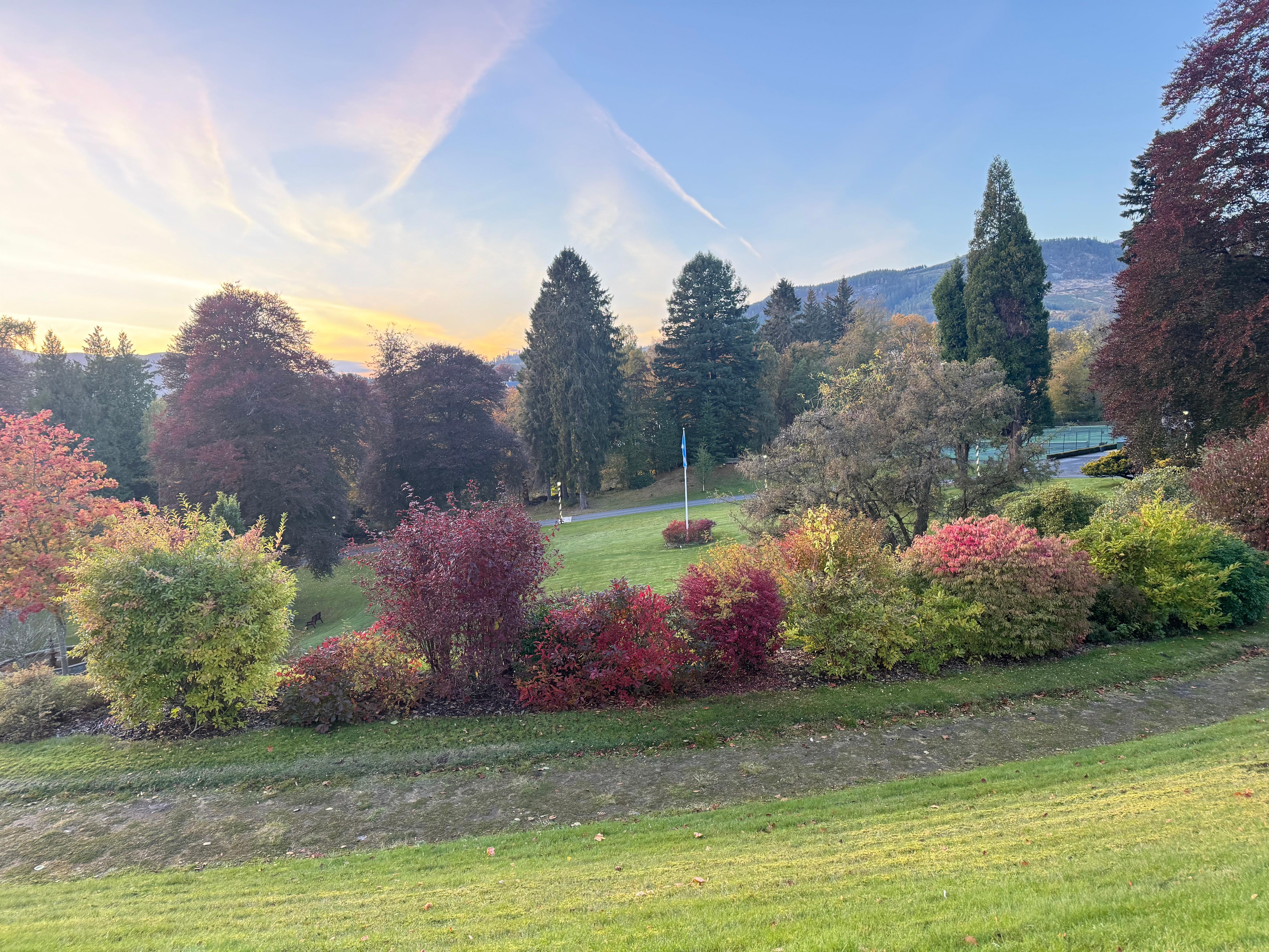 Picture of the gardens around the hotel 