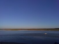 From the room's window