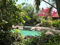 Resort gardens and main pool