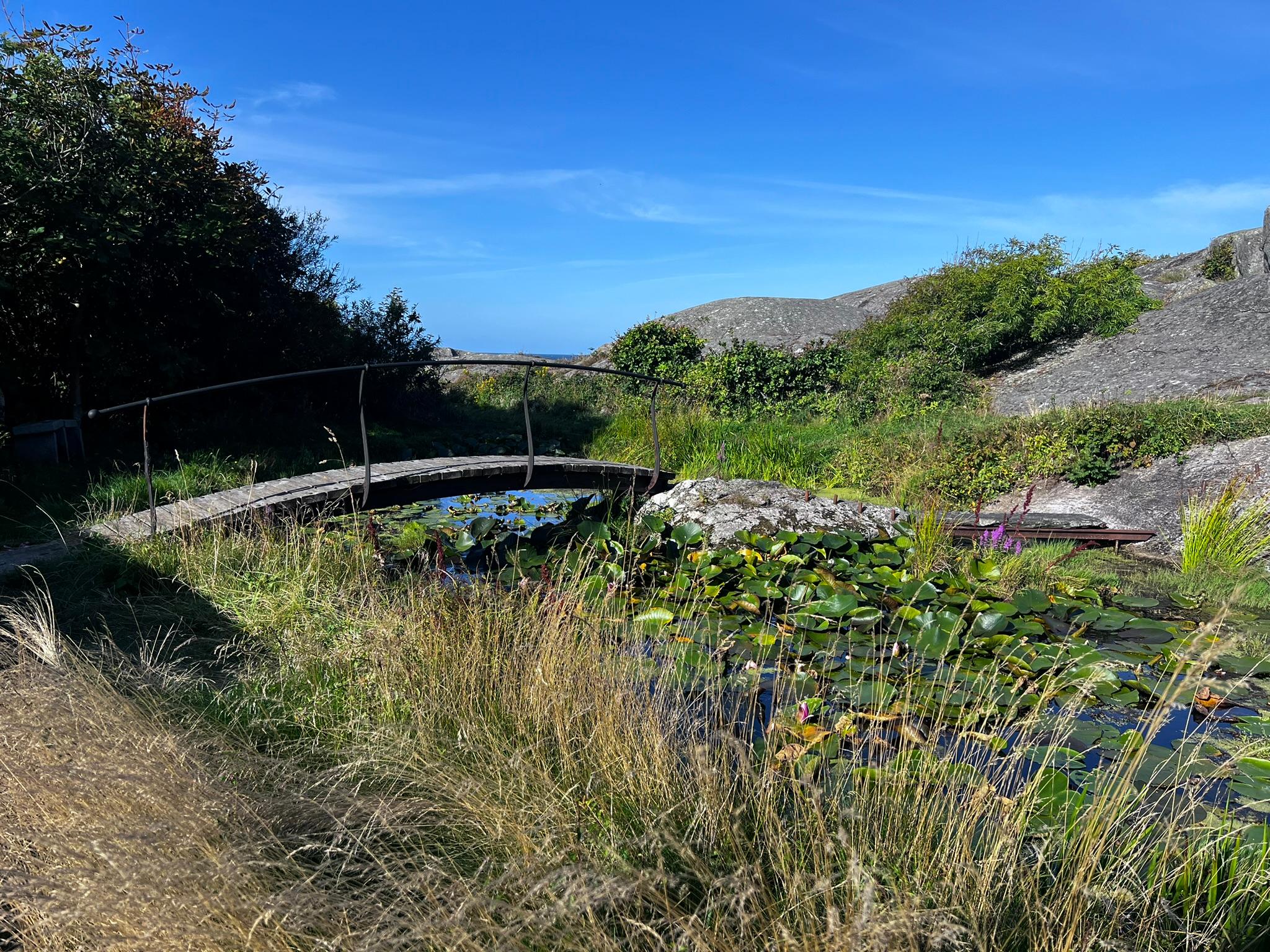 Lily Pond on the island of Marstrand