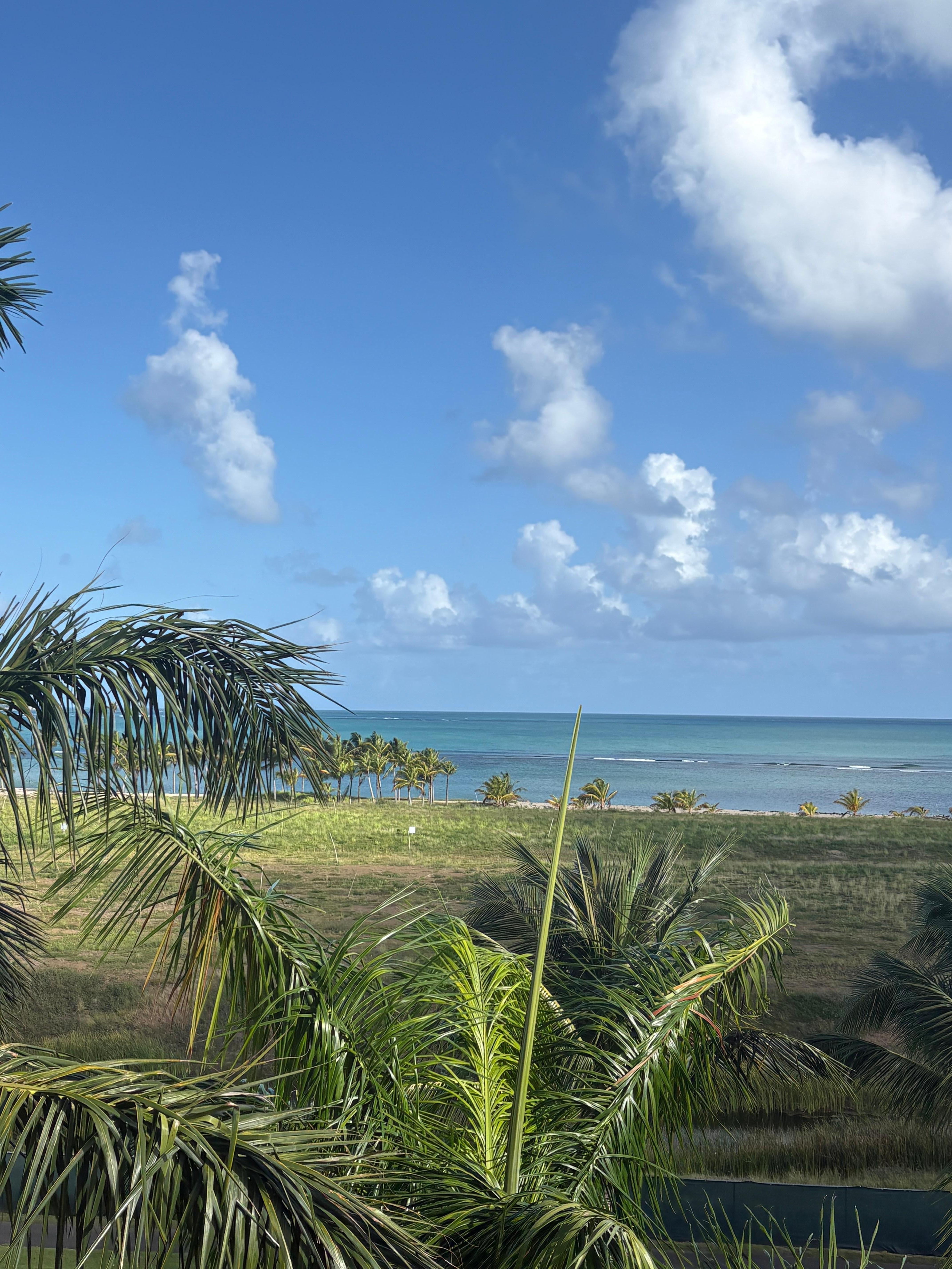 Balcony view (zoomed in) 