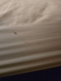 Blood on the sheet on the side of the bed.